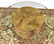 CONTEMPORARY ROUND GLASS-TOP URN FORM TABLE - 2