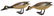 (2) CHARLES MOORE & VERGLE HODGE CARVED DUCKS