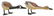 (2) CHARLES MOORE & VERGLE HODGE CARVED DUCKS - 2