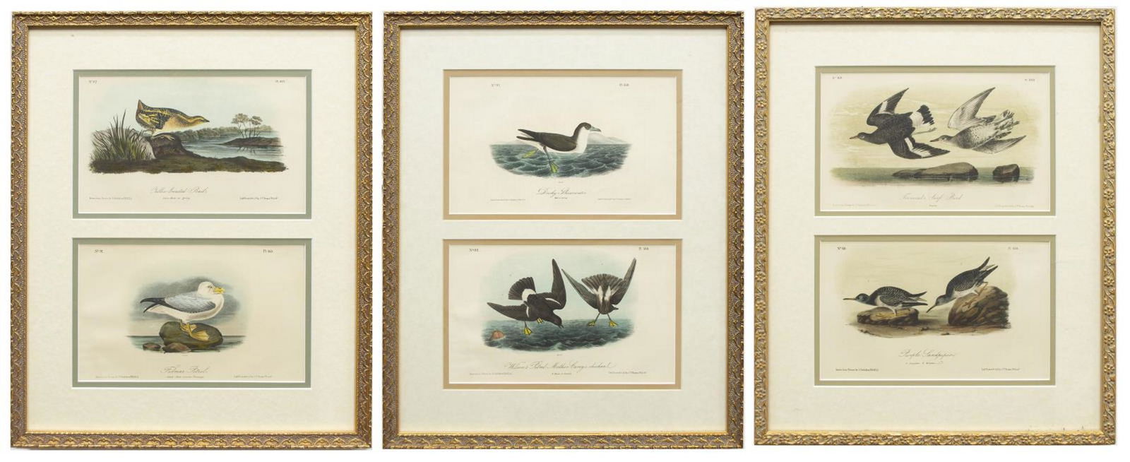 (3) FRAMED AUDUBON BIRDS OF AMERICA LITHOGRAPHS (1 of 5)