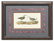 (4) FRAMED AUDUBON BIRDS OF AMERICA LITHOGRAPHS - 5