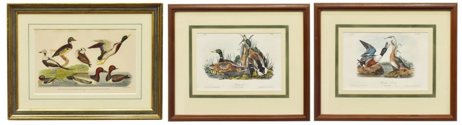 3) HAND-COLORED ORNITHOLOGY PRINTS AUDUBON & OTHER (1 of 2)