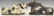 (2) MEXICAN CARVED WOOD PAINTED RECUMBENT COWS - 3