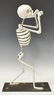 DAVID LINARES (B.1963) DAY OF THE DEAD SKELETON - 3