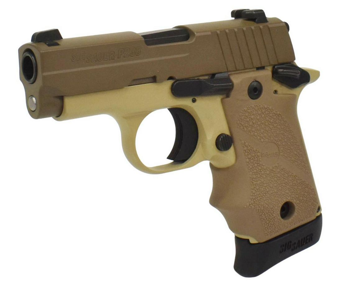 SIG SAUER MODEL P238 PISTOL, .380ACP CALIBER: Sig Sauer Model P238 pistol, .380ACP caliber, 2.7" barrel, six-round magazine, steel and polymer construction, concealed carry size, hard plastic case, hard Sig belt holster, key safety lock, spare ma