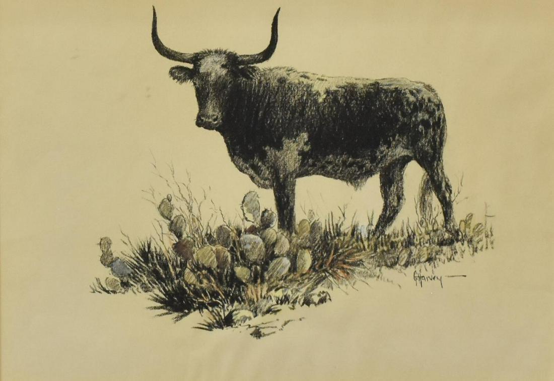 G. HARVEY (1933-2017) TEXAS LONGHORN & CACTUS W/C: Framed watercolor and pencil on artist paper, Texas Longhorn and Cactus", signed lower right G. Harvey (Gerald Harvey Jones, Texas, 1933-2017), sight: 10.25"h, 14.75"w, overall: 18"h, 22.25"w, 4.30lbs