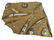 POLISHED AMMONITE & ORTHOCERAS FOSSILS STONE PLATE