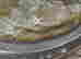 item-88810206=4