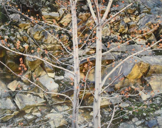 JOHN WARD (B.1943) LANDSCAPE PHOTOGRAPH (1 of 3)