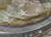 item-91410801=4