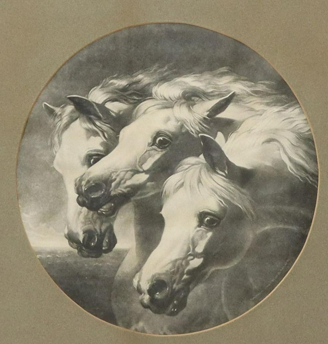 FRAMED LITHOGRAPH 'PHARAOH'S CHARIOT HORSES' (1 of 3)