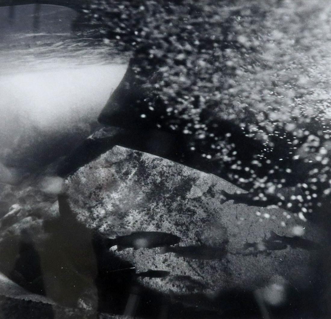 CHARLES LINDSAY (B.1961) FISH SILVER GELATIN PRINT (1 of 4)