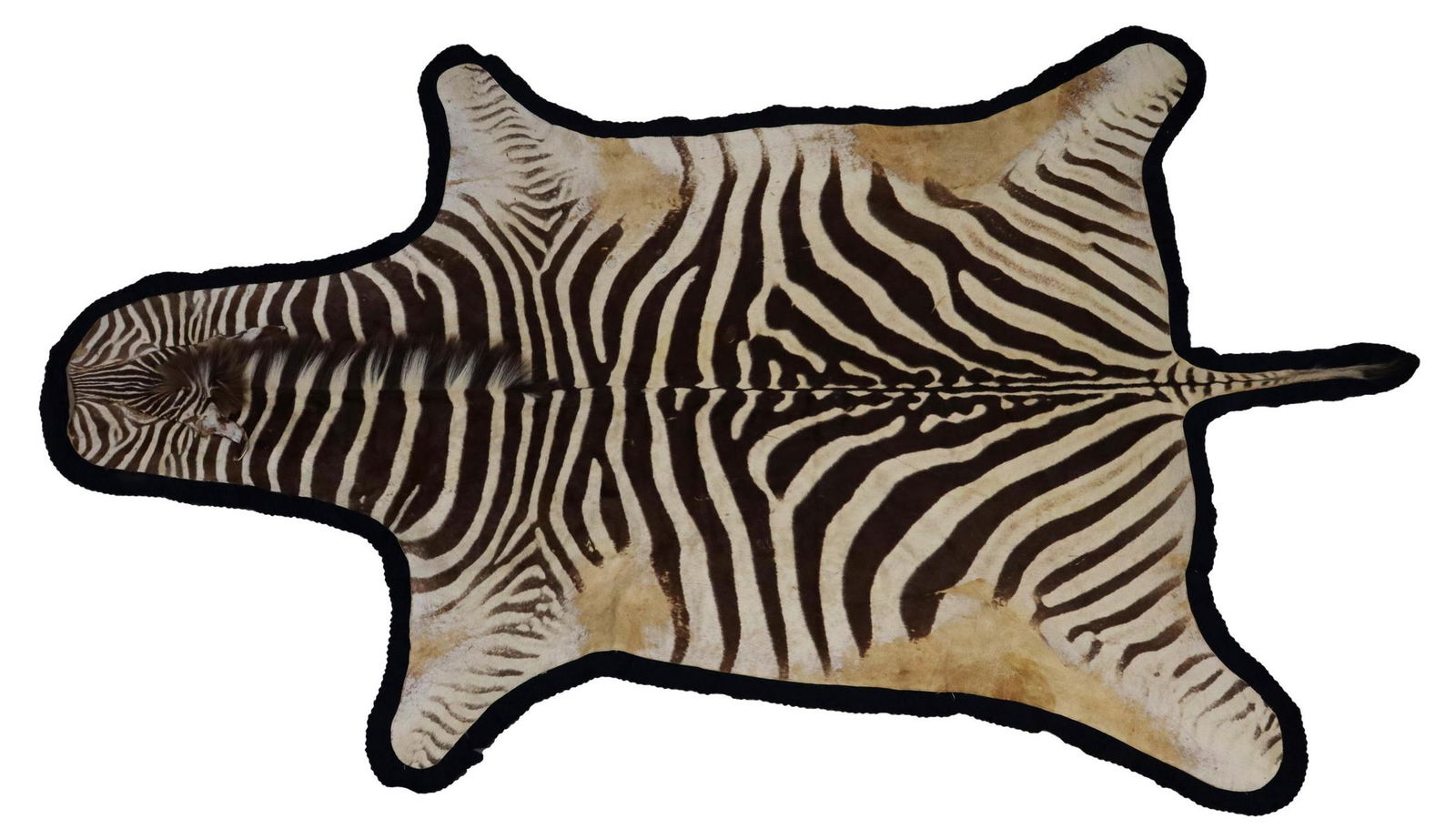 ZEBRA HIDE RUG, TAXIDERMY, APPROX 134" x 76" (1 of 6)