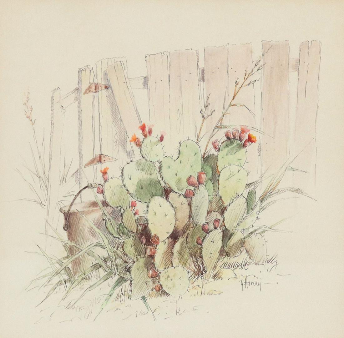 G. HARVEY (1933-2017) CACTUS BLOOMS PEN WATERCOLOR: Framed pen, ink, and watercolor on paper, Cactus Blooms, signed lower right G. Harvey (Gerald Harvey Jones, Texas, 1933-2017), sight: approx 8.5"h, 9"w, overall: 15.25"h, 15.5"w, 3lbs Start Price: $30