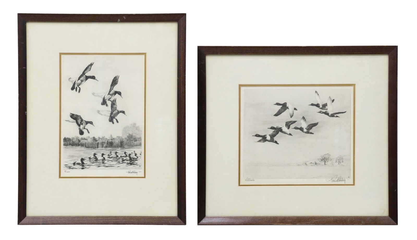 (2) RICHARD EVETT BISHOP (1887-1975) BIRD PRINTS (1 of 12)