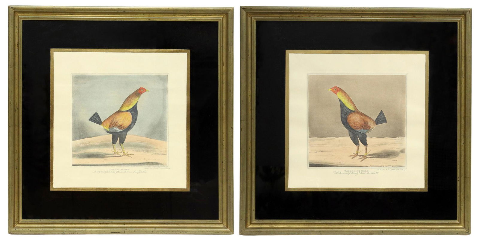 (2) FRAMED ENGLISH COCK FIGHTING AQUATINTS (1 of 4)