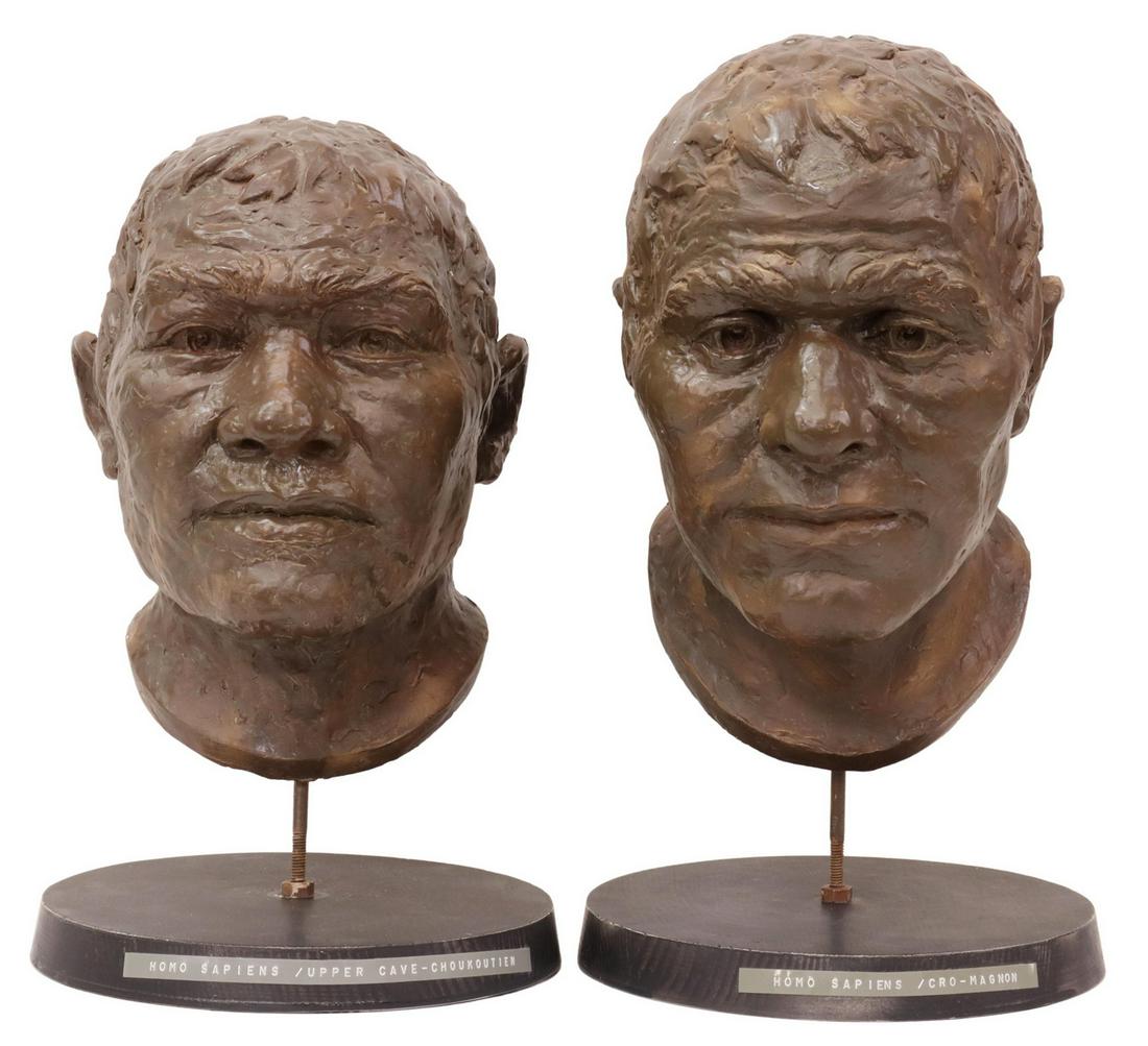 (2) AMERICAN MUSEUM NATURAL HISTORY HOMINID BUSTS (1 of 8)