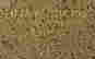 item-111821514=4
