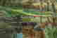 item-111821533=3