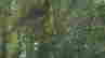 item-111821533=5