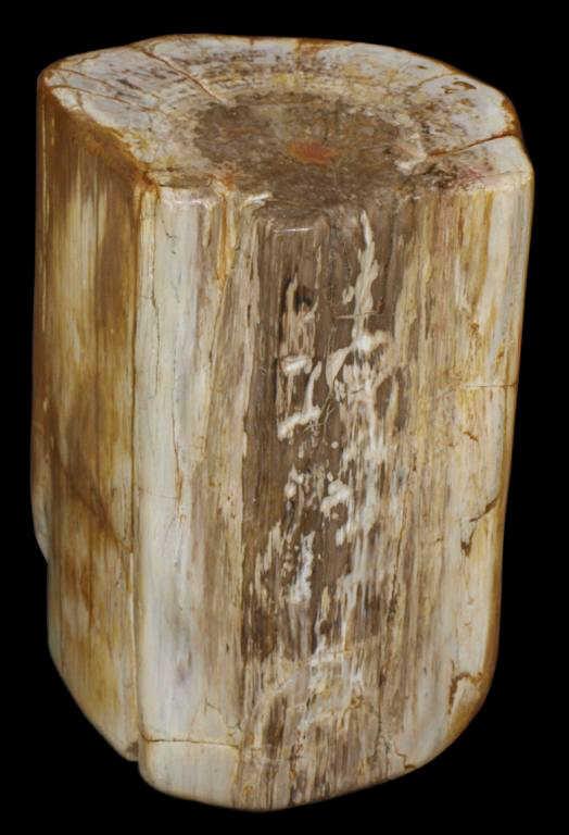 PETRIFIED WOOD LOG: Petrified wood log, polished on all sides, visible ring structure on top, 16"h, 12"w, 10"d, 100+lbs