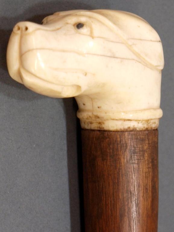 ANTIQUE WALKING CANE, IVORY DOG HEAD HANDLE