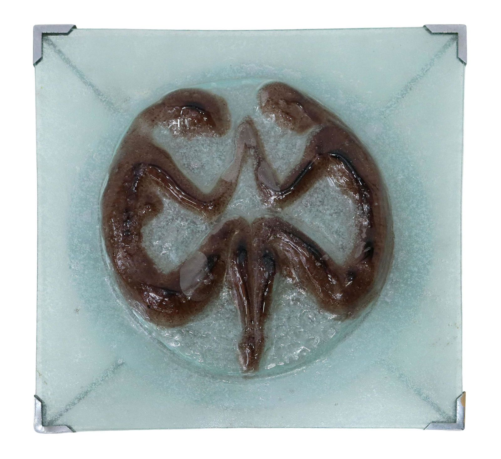 MODERN ART GLASS FLUSH-MOUNT 6-LIGHT CHANDELIER (1 of 4)