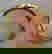 item-8022861=3