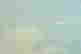 item-120218208=4