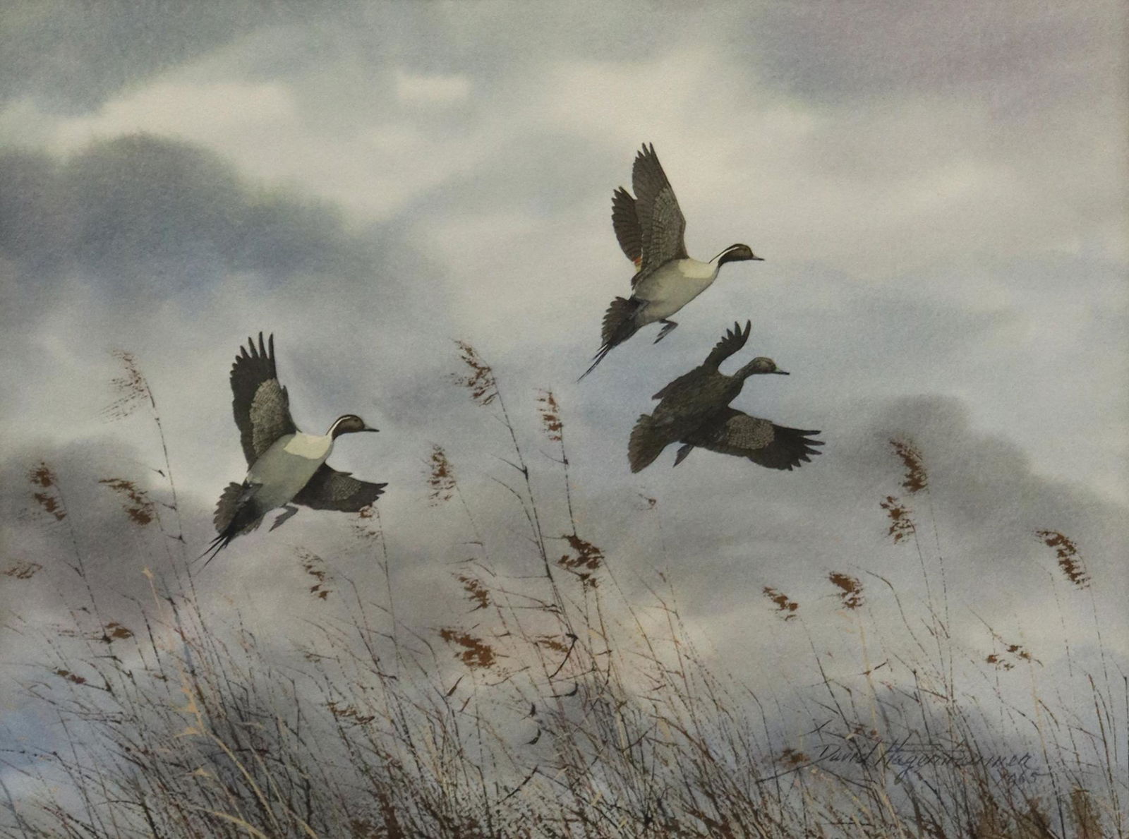 DAVID HAGERBAUMER (1921-2014) DUCKS WATERCOLOR: Framed watercolor and gouache painting on paper, Ducks in Flight, signed lower right David Hagerbaumer (California, Illinois, 1921-2014), dated 1965, sight: approx 12.25"h, 16.5"w, overall: 21.75"h, 2