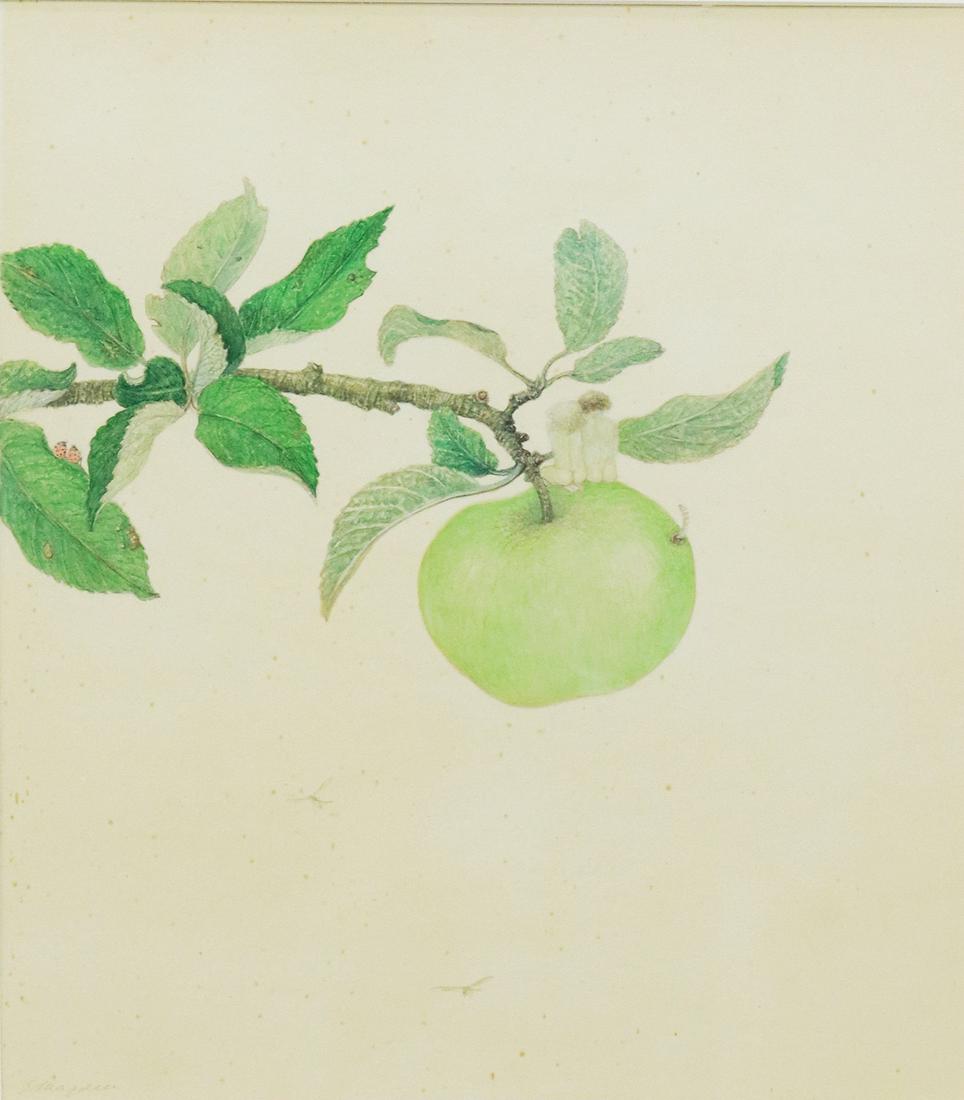 BARON ERNST VON MAYDELL (1886-1960) BOTANICAL W/C: Framed watercolor painting on paper, "Adam & Eve," signed lower left E. Maydell (Baron Ernst von Maydell, Estonian, 1886-1960), titled verso, sight: 10.5"h, 9"w, overall: 20.75"h, 17"w, 3.5lbs Start P