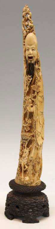 LARGE CHINESE CARVED & TINTED IVORY TUSK, SHOULAO: *Note-This item will not be shipped Internationally-This item will only ship within the United States**Large Chinese tinted and polychrome ivory tusk fashioned as the God of longevity, Shoulao wearing