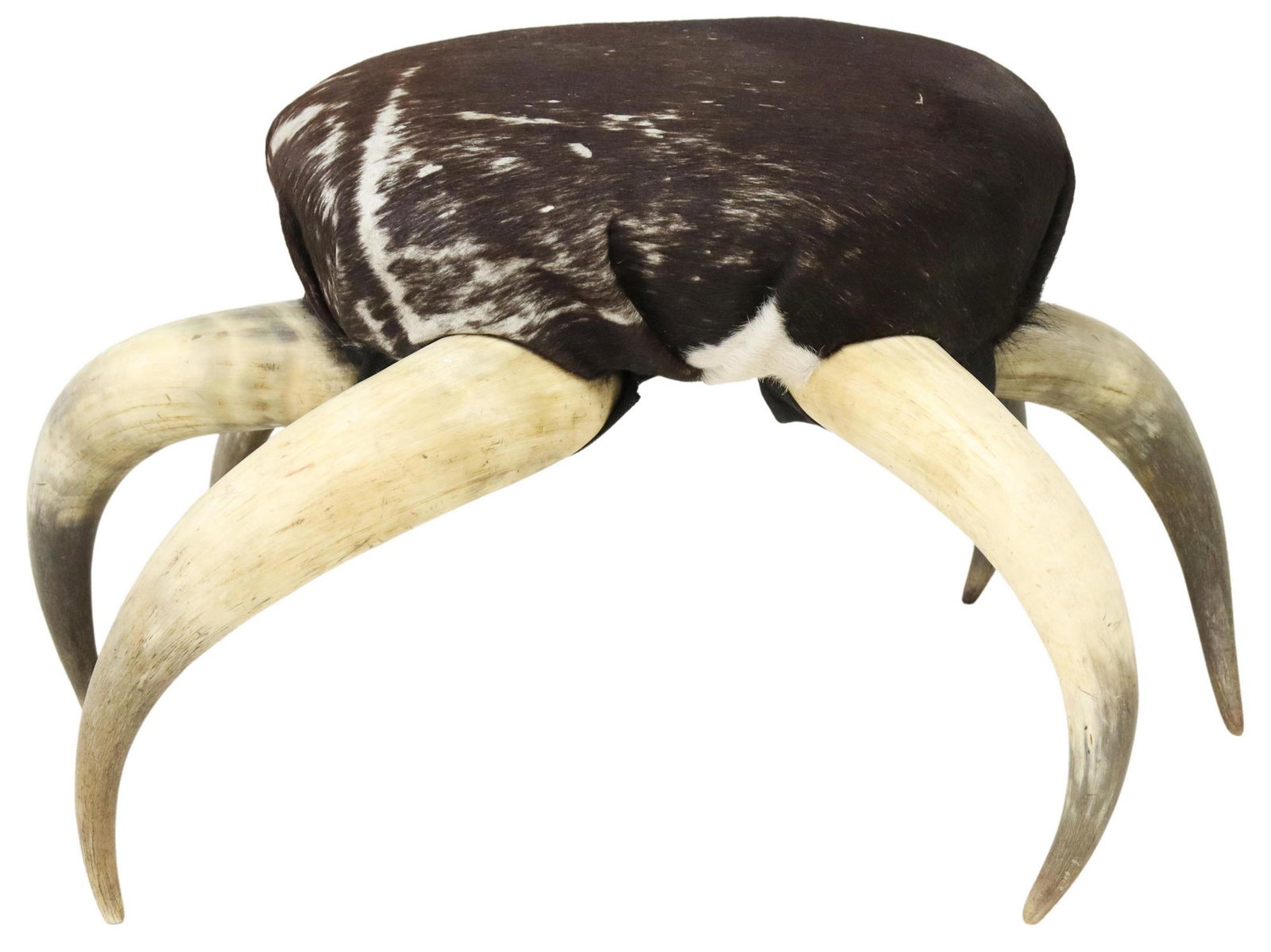 WESTERN STYLE COWHIDE & STEER HORN STOOL: Western style stool, 20th c., seat in dark brown and white cowhide, over base fashioned from six steer horns, approx 13.25"h, 23.5"w, 16"d Start Price: $100.00