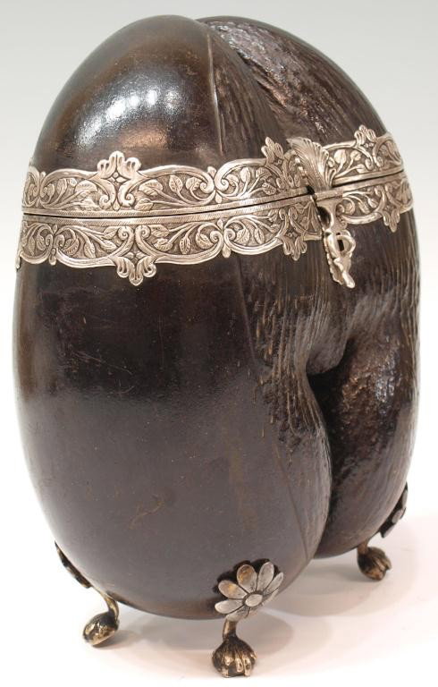 18TH C. INDO-PORTUGUESE COCO-DE-MER SILVER BOX: Indo-Portuguese coco-de-mer box, 18th c., repousse silver mountings in vining leafy patterns on the box raised on silver ball and talon feet, 12"h, 9"w, 2.75lbs Start Price: $2000.00