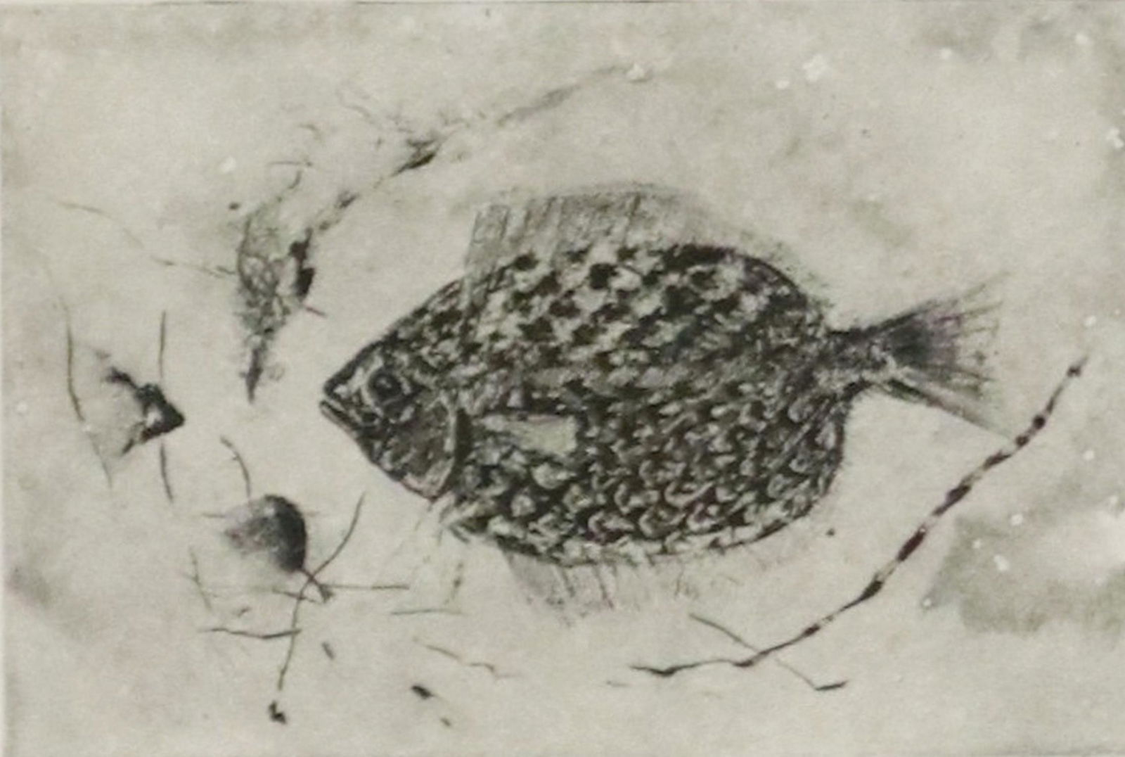 KELLY FEARING (1918-2011) 'IN PASSAGE' ETCHING (1 of 6)