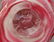 430: (7) COLLECTION ST. CLAIR ART GLASS PAPERWEIGHTS - 6