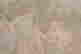 item-131854241=3