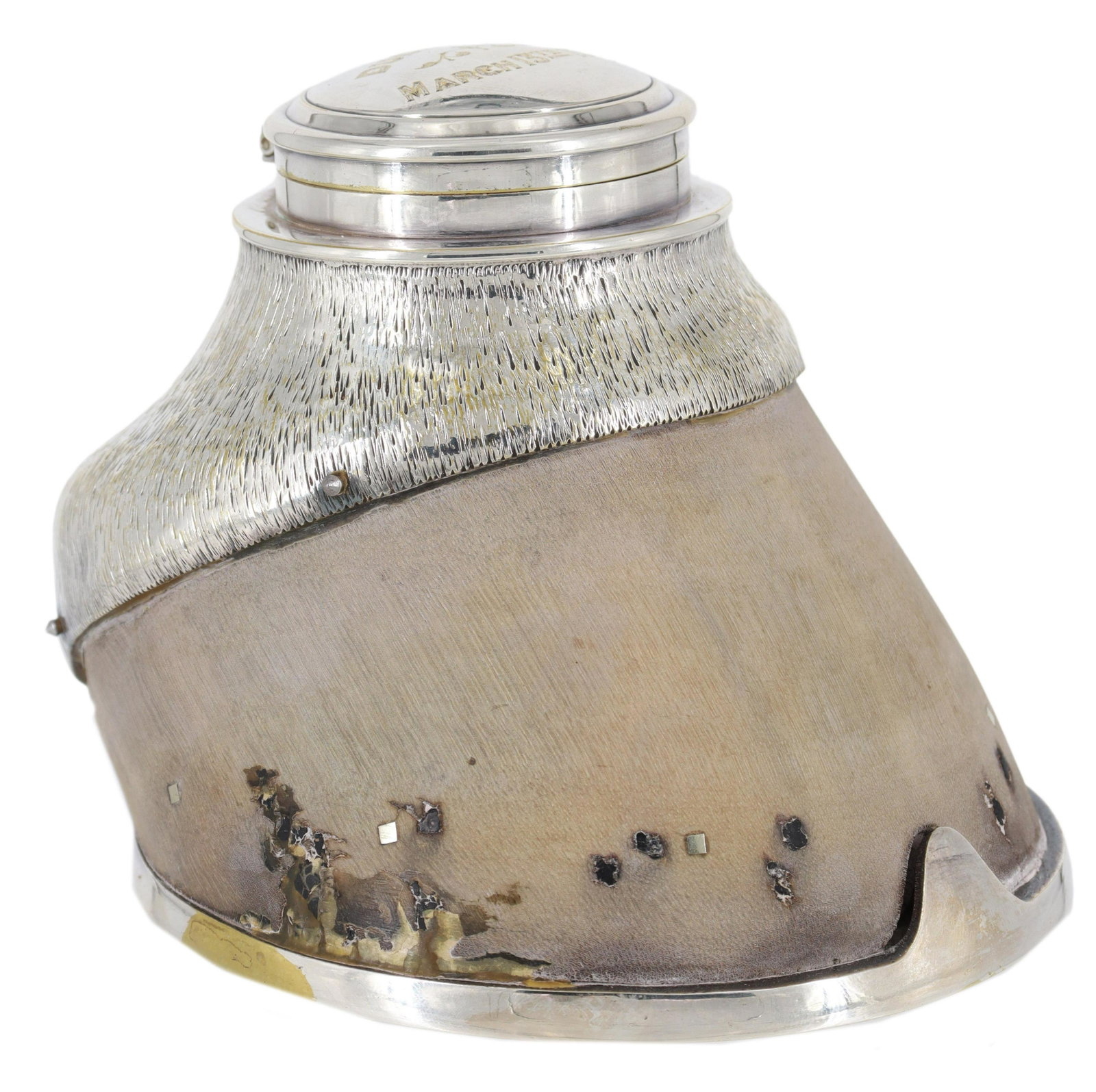 EDWARDIAN SILVERPLATE-MOUNTED HOOF MATCH HOLDER: Edwardian horse's hoof vesta case/ match holder in silverplate mount, hinged lid engraved "Duchess, March 13th, 1906," underside marked mounted by the A&N C.S. Ld, approx 4.25"h, 4.5"w, 5.5"d, 1.5lbs 