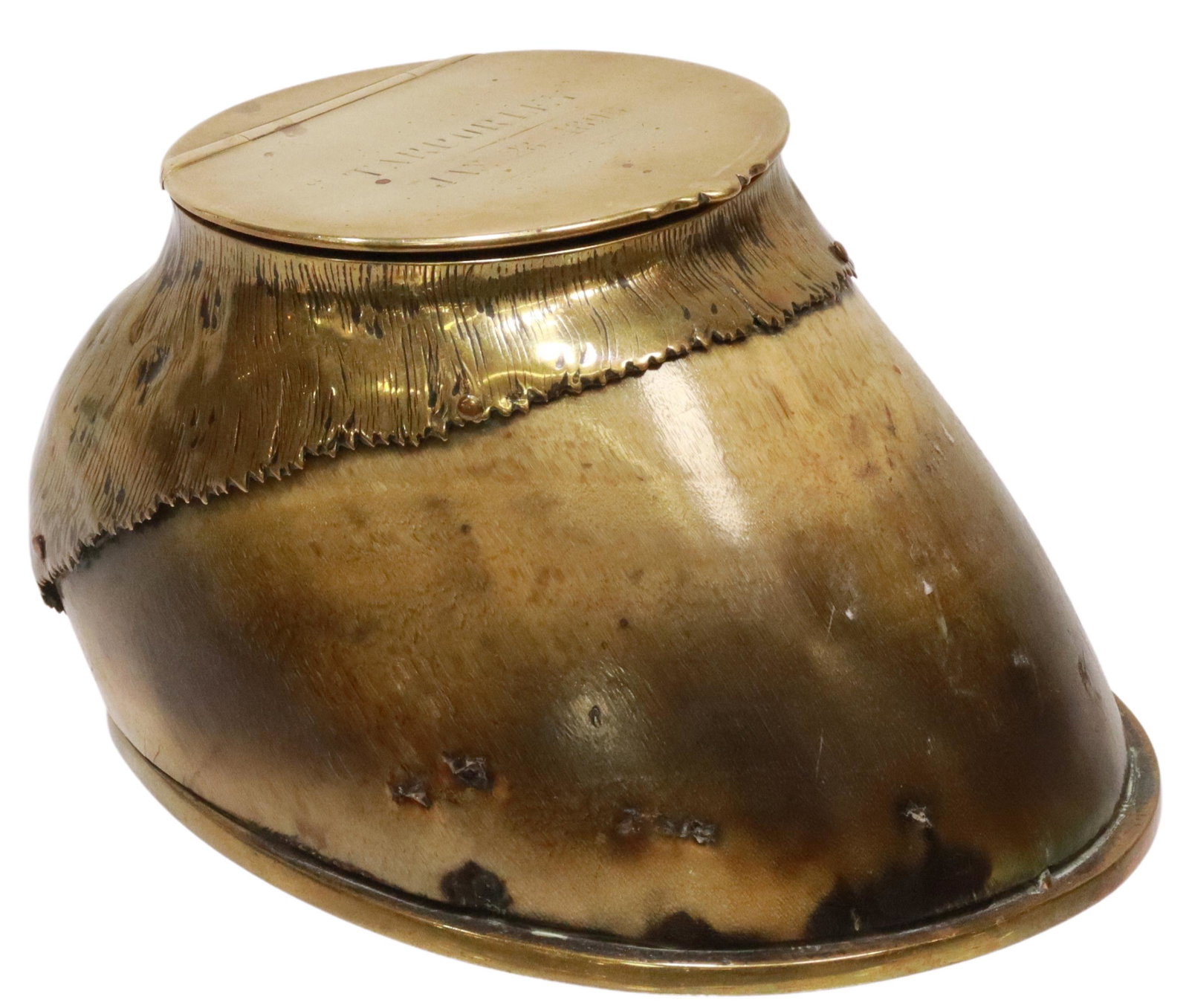 VICTORIAN METAL MOUNTED HOOF MATCH HOLDER, 1896: Victorian metal mounted horse hoof, Roland Ward Limited, The Jungle, 166 Piccadilly Street, London, the top inscribed 'Tarporley', dated Jan. 28, 1896, hinged lid opening to striker and open receptacl
