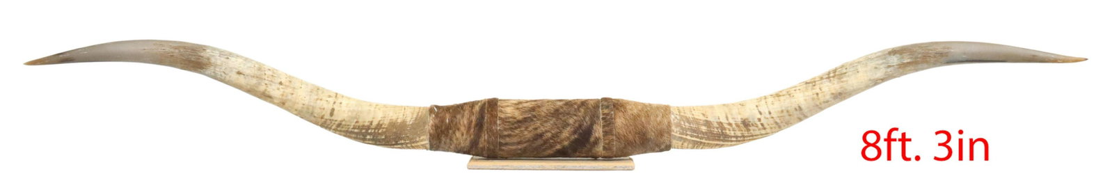 LARGE LONGHORN STEER TROPHY RACK, 94"L: Large longhorn steer trophy rack, with center wrapped in brown cowhide, mounted on rectangular wood base, approx 94"l, 8"h, 12"d, 17.75lbs Start Price: $300.00