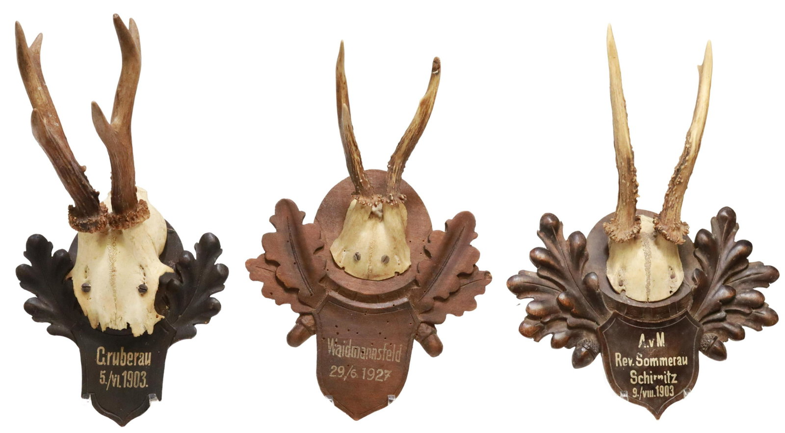 (3) GERMAN BLACK FOREST DEER ANTLER TROPHY MOUNTS: (lot of 3) German Black Forest deer antler trophy mounts, early 20th c., on carved wood plaque with foliate motifs, including: (1) marked Gruberau, dated 1903, (1) marked Rev. Sommerau Schimitz, dated