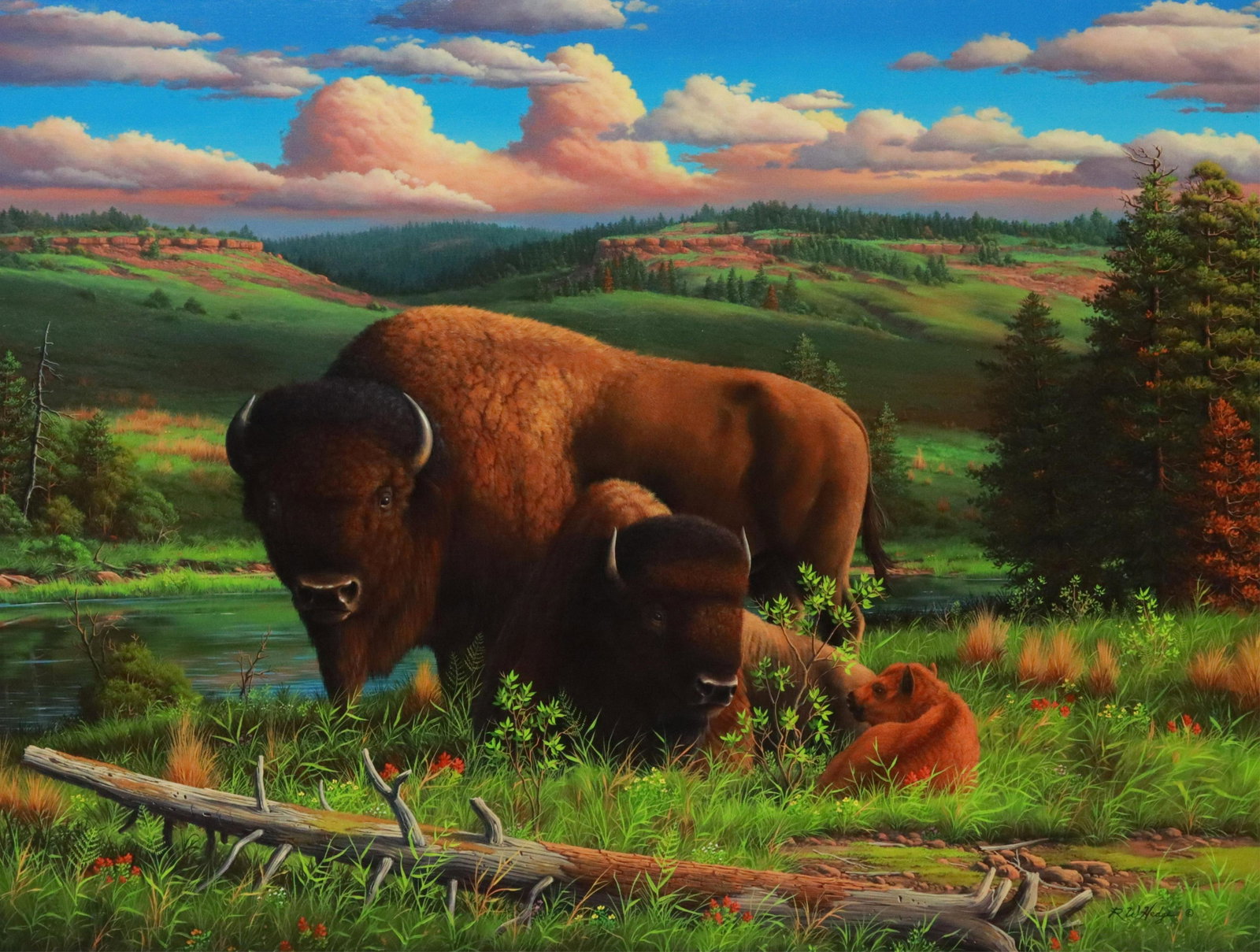 R.W. HEDGE (1954-2010) 'BUFFALO NATION,' 36" X 48": Framed oil painting on canvas, "Buffalo Nation," signed lower right RW Hedge (Ronnie Hedge, Texas, 1954-2010), sight: approx 35.5"h, 47.5"w, overall: approx 46.75"h, 58.75"w, 27lbs Start Price: $500.0