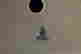item-136916236=5