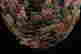 item-136916485=3