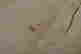 item-136916547=4
