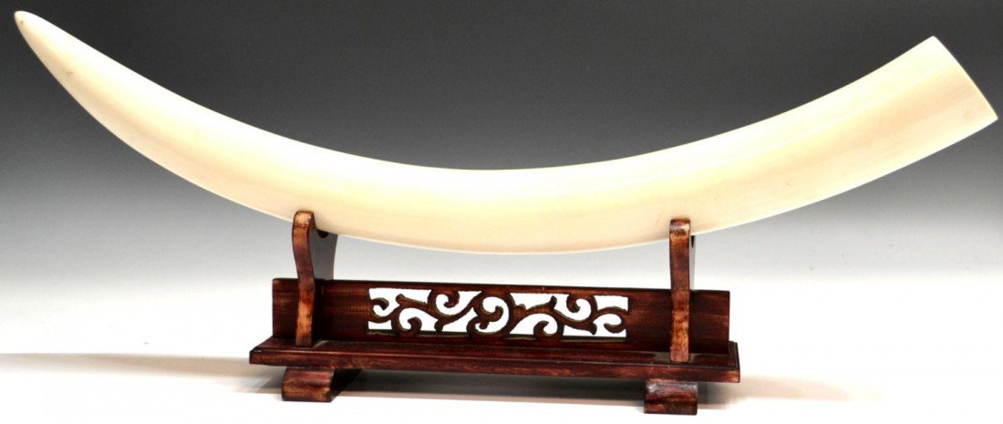 CHINESE ELEPHANT IVORY TUSK & STAND: **This item will not be shipped Internationally** Chinese elephant ivory tusk with wood stand, tusk: 26.5"l outside curve, 2.3/8"d, 2.5lbs, stand: 4.5"h, 12"w, 3.5"d, total: 3.25lbs Start Price: $400.