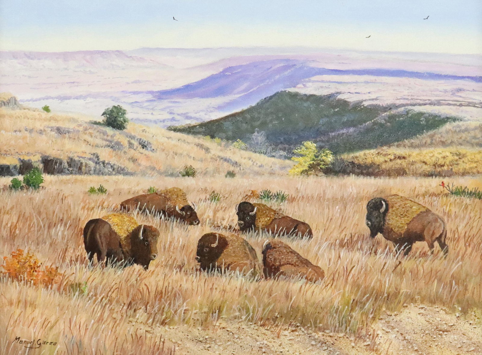 MANUEL GARZA (B.1940) CAPROCK CANYON BUFFALO: Framed oil on canvas painting, "Caprock Canyon Buffalo," signed lower left Manuel Garza (Texas, b.1940), sight: approx 11.75"h, 15.75"w, overall: approx 20.5"h, 24.5"w, 6.25lbs Start Price: $1,200.00