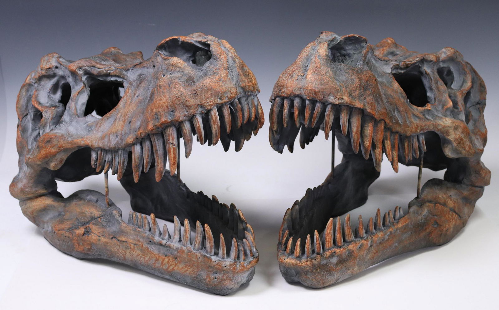 (2) DECORATIVE T-REX SKULL SCULPTURES (1 of 3)