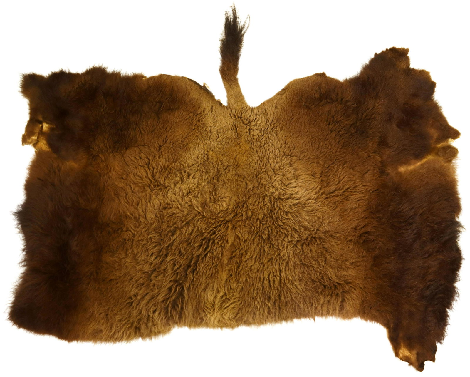 BUFFALO HIDE OR RUG, 76" X 68": Buffalo hide, largest measurements approx. 76" x 68" inclusive of tail Start Price: $300.00