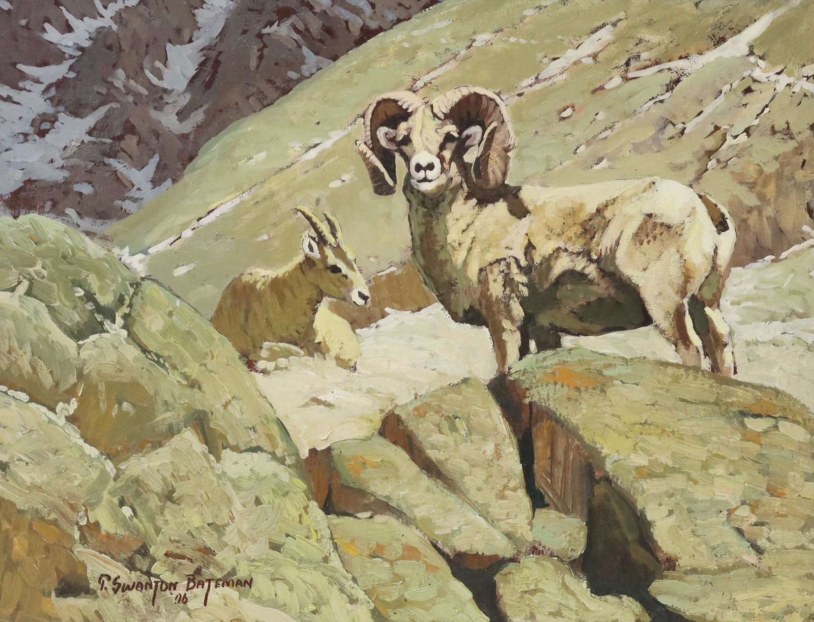 TERRY SWANTON BATEMAN (B.1942) BIGHORN SHEEP: Framed oil on canvas painting, Bighorn Sheep, signed lower left T. Swanton Bateman (Terry Swanton Bateman, American, b.1942), dated [20]06, sight: approx 13.5"h, 17.5"w, overall: 19.75"h, 23.75"w, 3.5